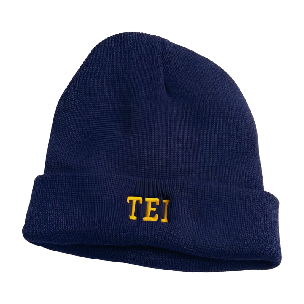 TEI GORRO LANA